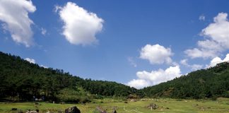 우리나라의 세계유산 고인돌