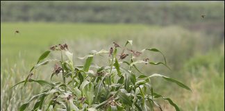 맛있는건 우리가 먼저