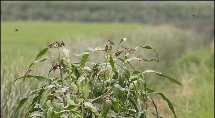 맛있는건 우리가 먼저