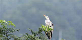 야! 너 까불지마~~
