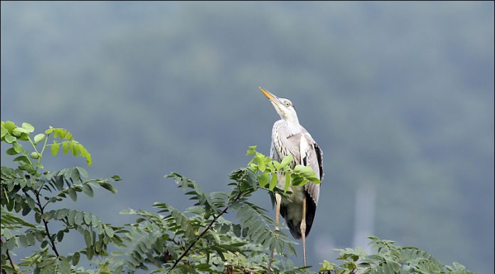 야! 너 까불지마~~