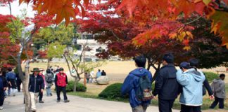 2. 마니산의 단풍