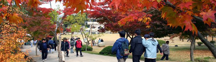 2. 마니산의 단풍