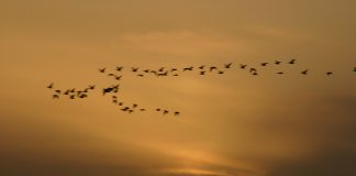 석모도 하리포구