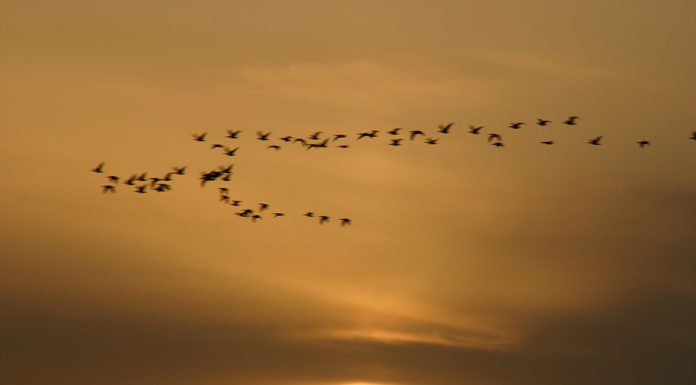 석모도 하리포구