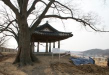 장령면(長嶺面)