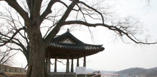 장령면(長嶺面)