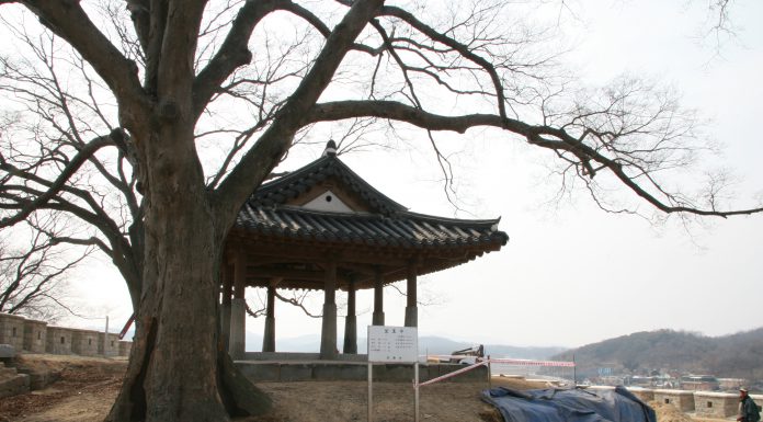 장령면(長嶺面)