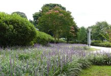 고려와 조선시대 궁궐