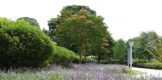 고려와 조선시대 궁궐