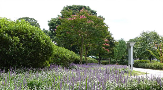 고려와 조선시대 궁궐