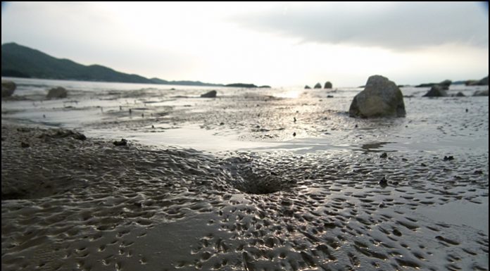 누구 발자국일까?