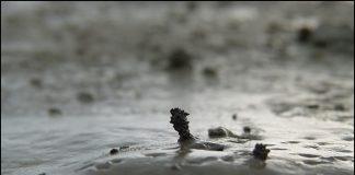 누구의 집일까?