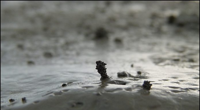 누구의 집일까?