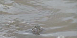 이런! 물이 들어오네