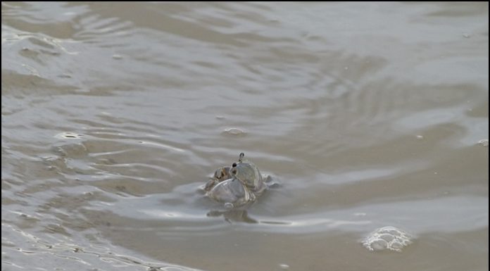 이런! 물이 들어오네