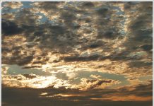 황청포구의 일몰