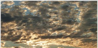 황청포구의 일몰