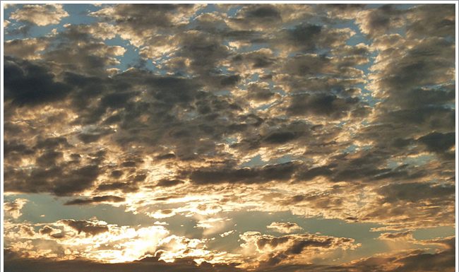 황청포구의 일몰