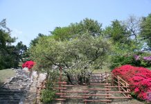 천연기념물 (5개)