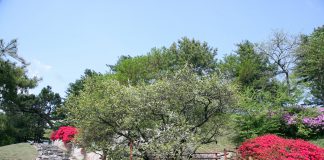 천연기념물 (5개)