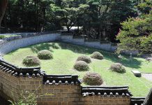 총(塚)과 고분(古墳)