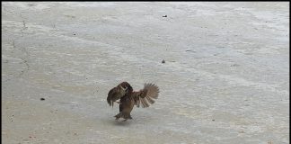 우린 이런 사이라우