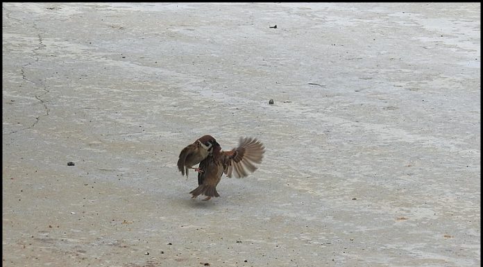 우린 이런 사이라우