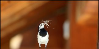 부모가 된다는건