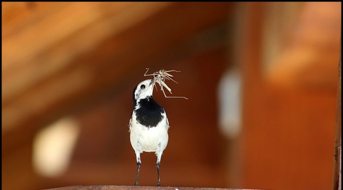 부모가 된다는건