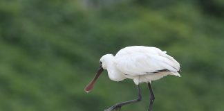 낚시꾼들은 반성을