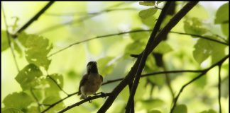 시원한 그늘아래