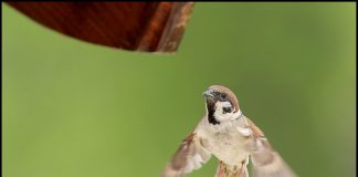 어여 가자 집에~~