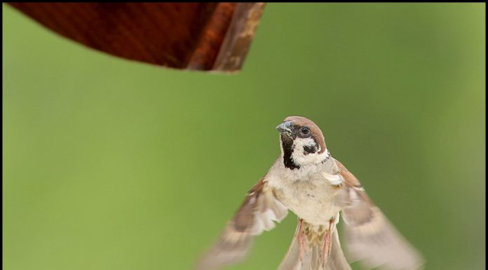 어여 가자 집에~~