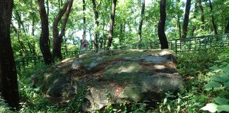 선사시대~통일신라시대