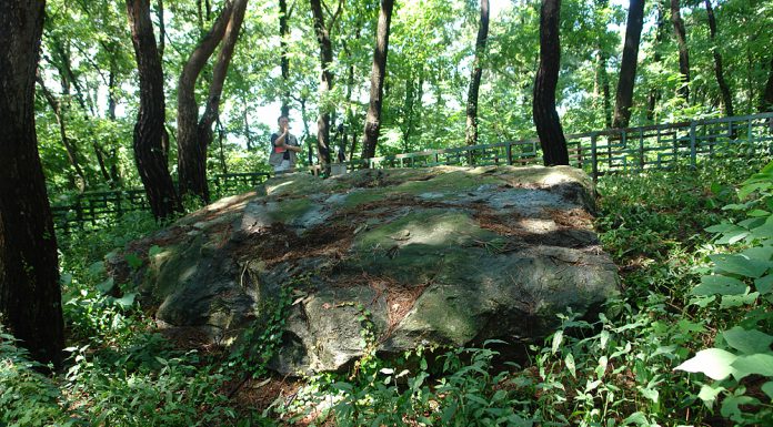 선사시대~통일신라시대