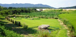 강화 비지정 고인돌 군락지