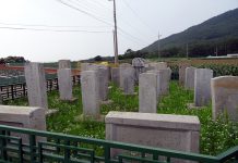 강화의 석비군(石碑群)