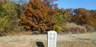 향토유산 (20개)