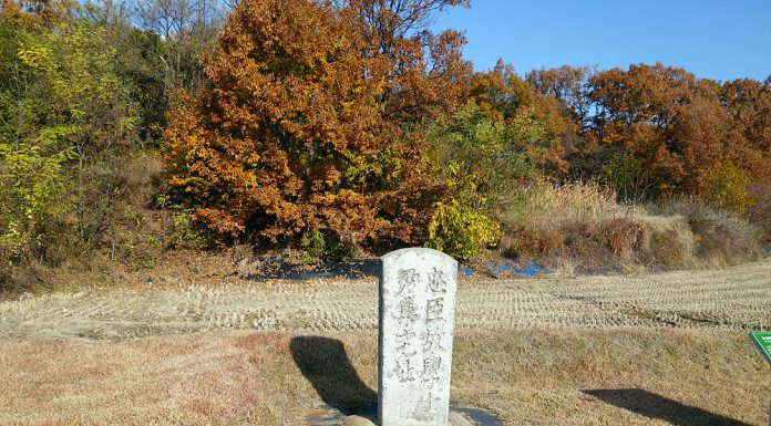 향토유산 (20개)