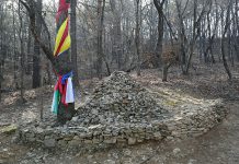 서낭당 과 기우단