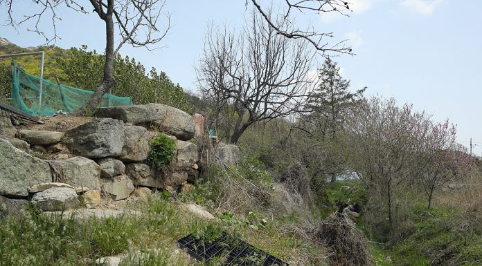 강화의 옛 관아 터(址)