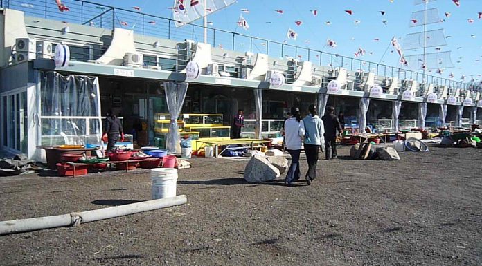 어민들이 직접운영하는 어판장