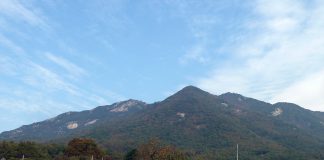 서사면(西寺面)