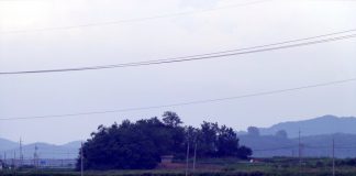 송정면(松亭面)