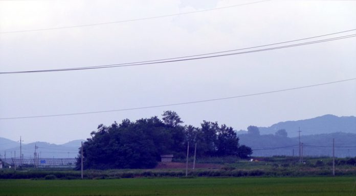 송정면(松亭面)