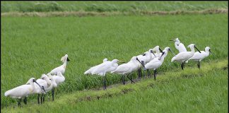 아~ 아~아~ 오늘은 반상회 날입니다.