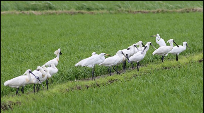 아~ 아~아~ 오늘은 반상회 날입니다.