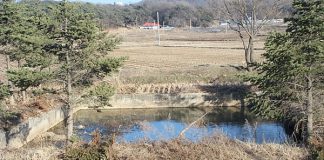 강화를 본관으로 하는 성씨