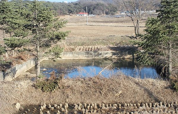 강화를 본관으로 하는 성씨